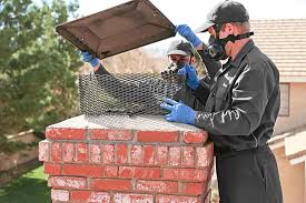 Professional chimney inspection for a Minnesota home